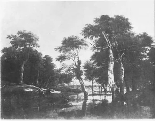The Hunt